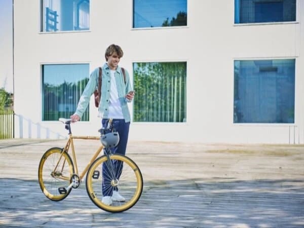 SAP add on quick apply